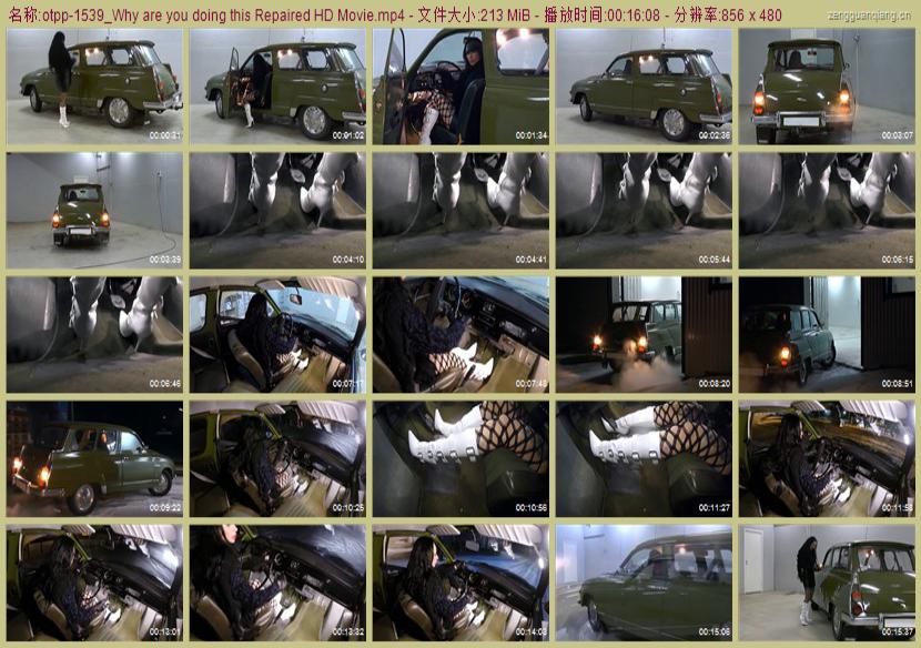 otpp-1539_Why are you doing this Repaired HD Movie